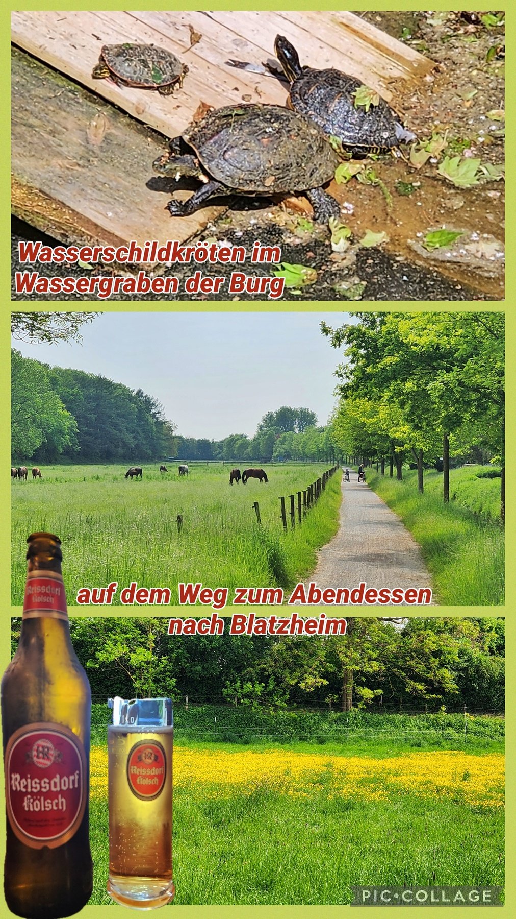 foto04.jpg