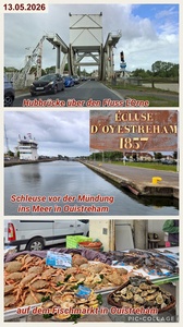 foto15_small.jpg