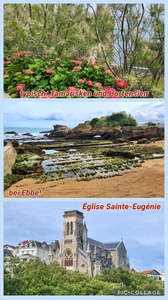 foto42_small.jpg