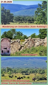 foto56_small.jpg