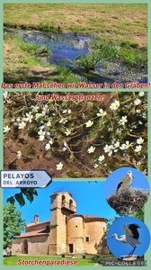 foto57_small.jpg