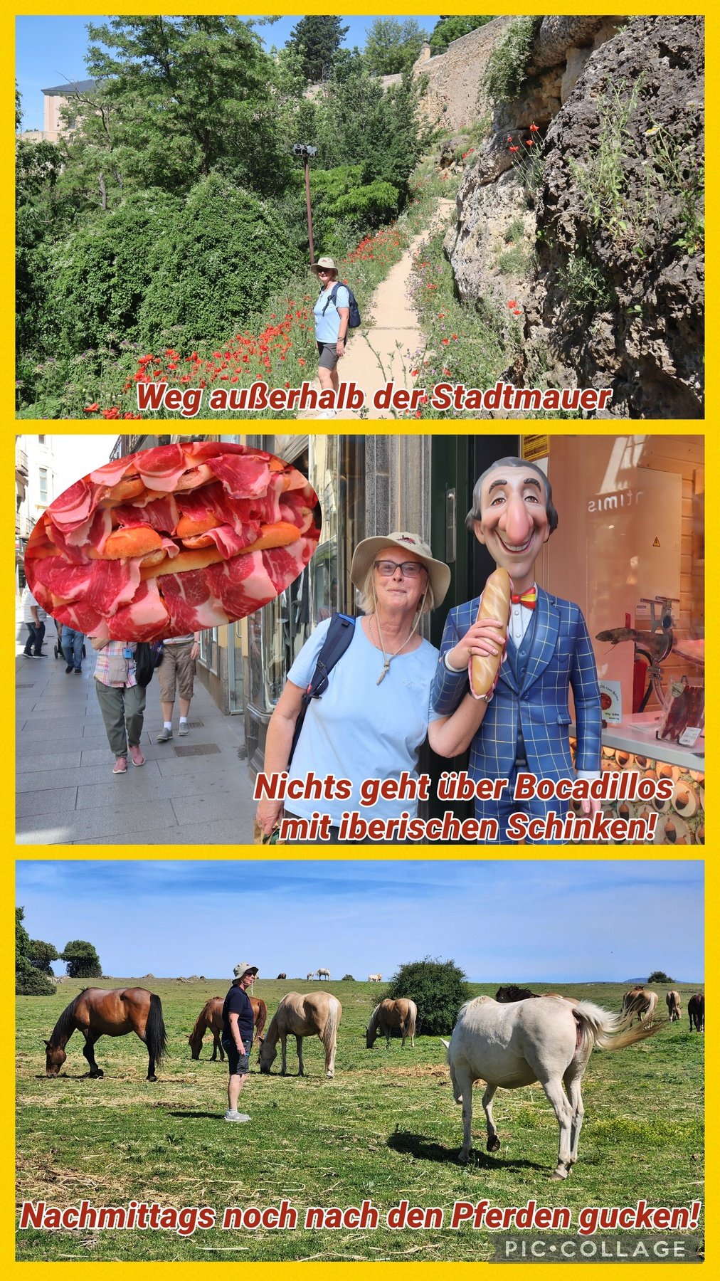 foto64.jpg