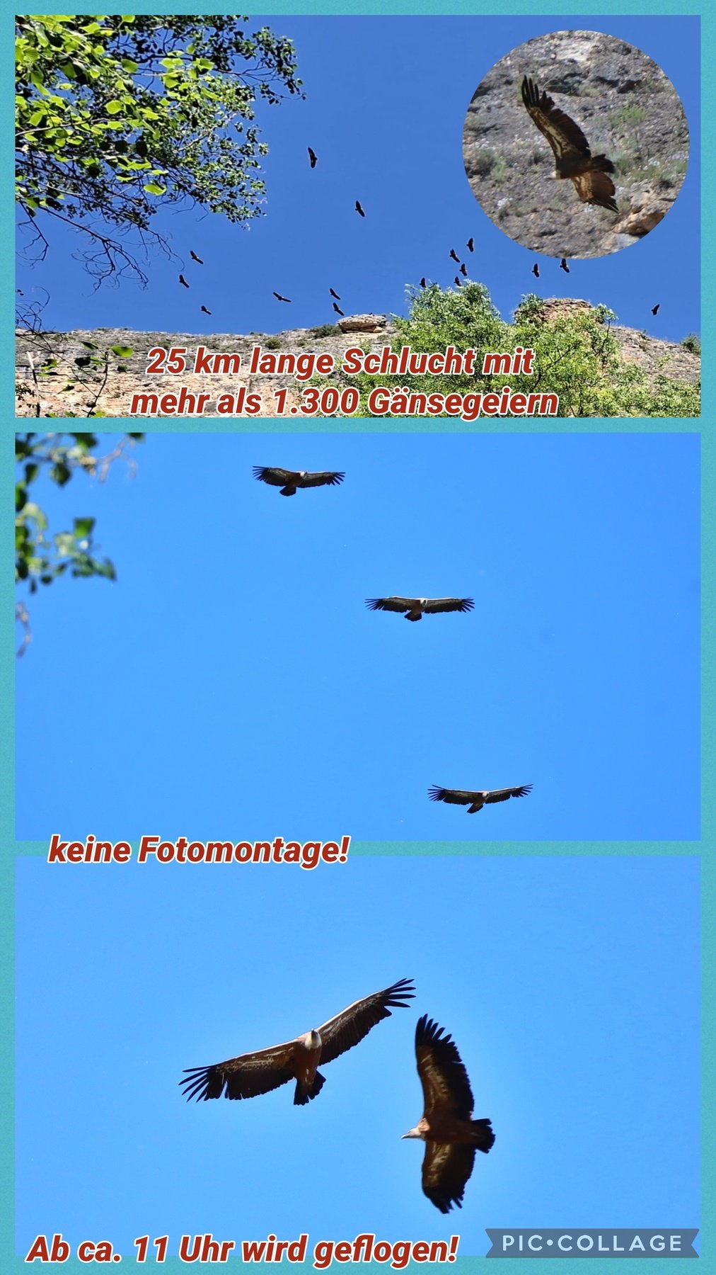 foto67.jpg