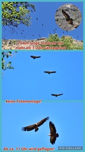 foto67_small.jpg