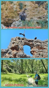foto68_small.jpg