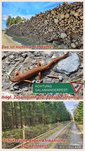 foto29_small.jpg