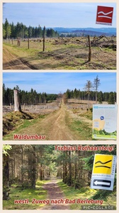 foto33_small.jpg