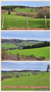 foto39_small.jpg