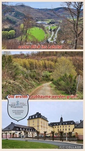 foto41_small.jpg