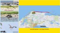 foto23_small.jpg