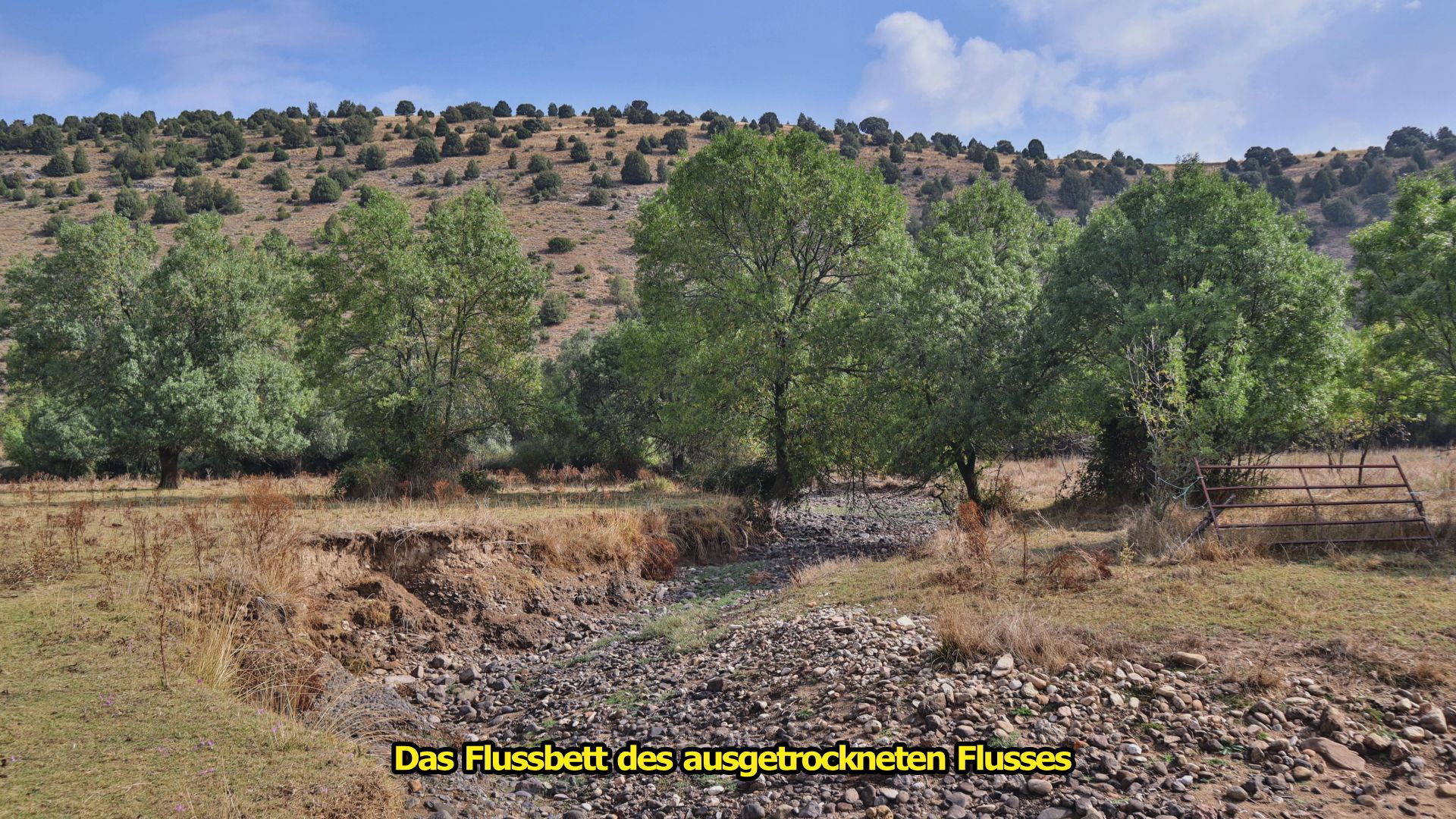 foto46.jpg