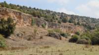 foto49_small.jpg
