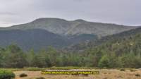 foto59_small.jpg