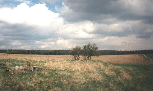 Beautiful landscape, isn't it?