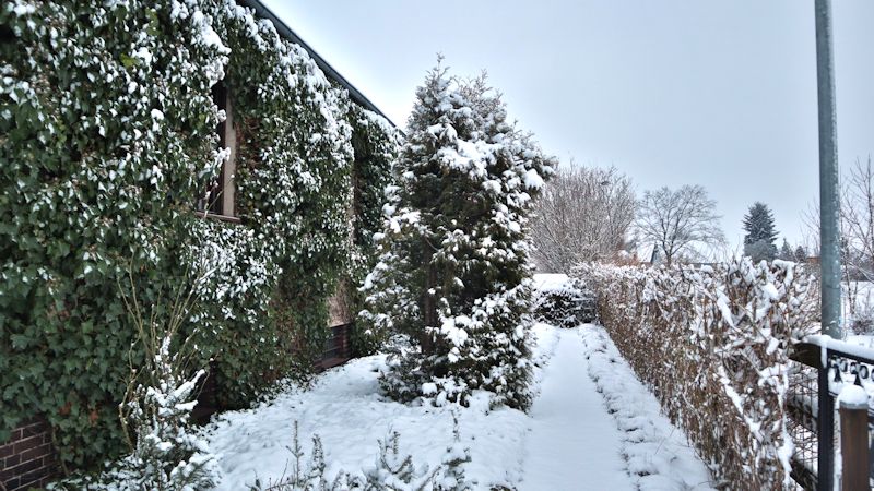 snow in the garden